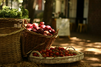 basket image